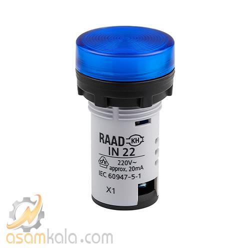 RAAD-IN22-BLUE.jpg